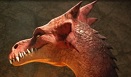 Dragon Head